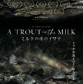 ミルクの中のイワナ 1枚目の写真・画像