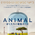 アニマル ぼくたちと動物のこと 1枚目の写真・画像