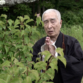 むじな峠 3枚目の写真・画像