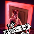 THE オリバーな犬、(Gosh!!)このヤロウ MOVIE 4枚目の写真・画像