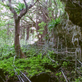 Underground アンダーグラウンド 7枚目の写真・画像
