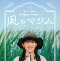 風のマジム 1枚目の写真・画像