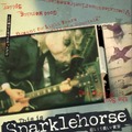 悲しくて美しい世界／THIS IS SPARKLEHORSE 1枚目の写真・画像