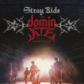 “スキズ”のワールドツアーに密着『Stray Kids : The dominATE Experience』5月15日公開　メンバーからコメント動画も 画像