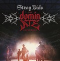 Stray Kids : The dominATE Experience 1枚目の写真・画像