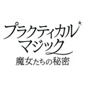 プラクティカル・マジック／魔女たちの秘密 1枚目の写真・画像