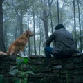 GOOD BOY／グッド・ボーイ 4枚目の写真・画像