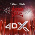 Stray Kids : The dominATE Experience 3枚目の写真・画像