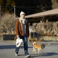 メモリィズ 14枚目の写真・画像