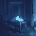 インビジブルハーフ 4枚目の写真・画像