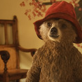『パディントン4』の脚本家に風刺コメディの名手アーマンド・イアヌッチ 意外な起用にファンから期待の声 画像