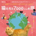 猫たちと7000マイルの旅 1枚目の写真・画像