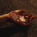 THE SUGAR BABY 4枚目の写真・画像
