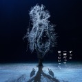 呪いのスマホ 6枚目の写真・画像