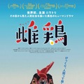 主演・ニワトリ！ CG＆AIほぼなし撮影でニワトリから見た人間社会描く『雌鶏』9月25日公開 画像
