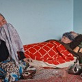 ハワの手習い 9枚目の写真・画像