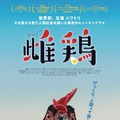 雌鶏 1枚目の写真・画像