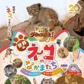 劇場版ダーウィンが来た！世界のネコのなかまたち 1枚目の写真・画像