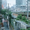 拝啓アシタ　DEAR TOMORROW 2枚目の写真・画像