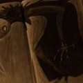THE BELDHAM/ベルダム 10枚目の写真・画像