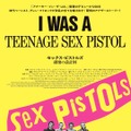 セックス・ピストルズ 破壊の設計図 1枚目の写真・画像
