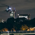 東京上空300メートル 4枚目の写真・画像