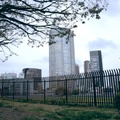 東京上空300メートル 12枚目の写真・画像