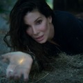 プラクティカル・マジック／魔女たちの秘密 3枚目の写真・画像