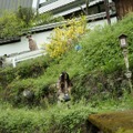 八つ墓村（2026） 17枚目の写真・画像