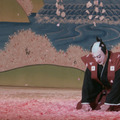 襲名 7枚目の写真・画像