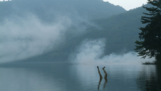 犬神家の一族 (2006) 7枚目の写真・画像