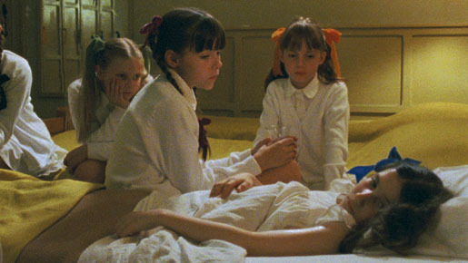 エコール 3枚目の写真・画像