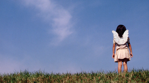 長い散歩 3枚目の写真・画像