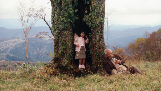 長い散歩 4枚目の写真・画像