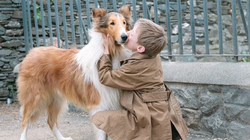 名犬ラッシー (2005) 3枚目の写真・画像