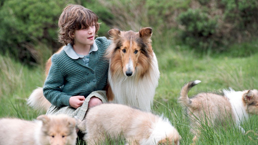 名犬ラッシー (2005) 4枚目の写真・画像