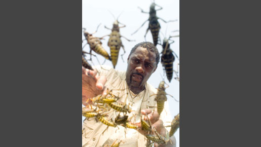 リーピング 9枚目の写真・画像