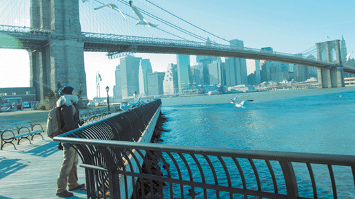 ただ、君を愛してる 5枚目の写真・画像