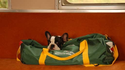 イヌゴエ　幸せの肉球 3枚目の写真・画像