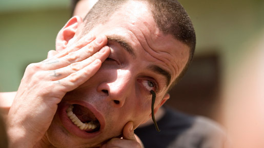 jackass number two 2枚目の写真・画像