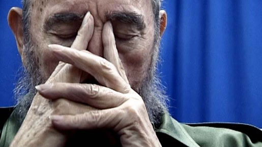 コマンダンテ 1枚目の写真・画像