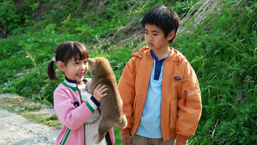 マリと子犬の物語 3枚目の写真・画像