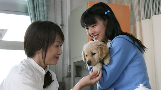 犬と私の10の約束 4枚目の写真・画像