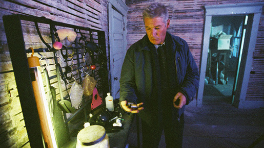 消えた天使 -The Flock- 6枚目の写真・画像