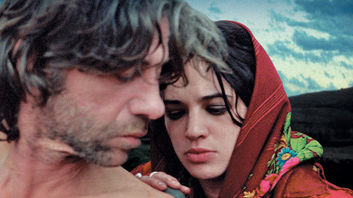 トランシルヴァニア 1枚目の写真・画像