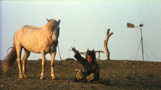 白い馬の季節 2枚目の写真・画像