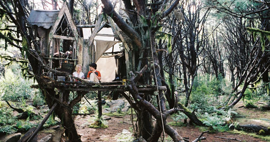 テラビシアにかける橋 6枚目の写真・画像