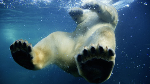 アース 1枚目の写真・画像