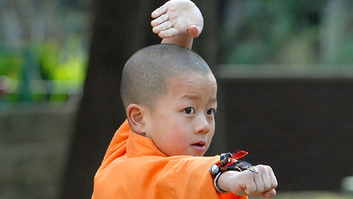 カンフーくん 11枚目の写真・画像