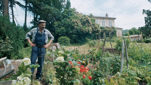 画家と庭師とカンパーニュ 5枚目の写真・画像